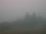 Záznam