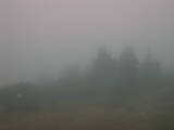 Záznam