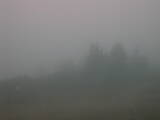 Záznam