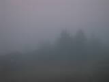 Záznam