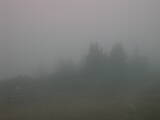 Záznam