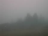 Záznam