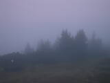 Záznam
