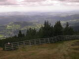 Záznam