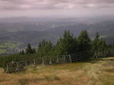 Záznam