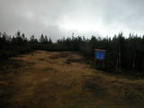 15 : 50