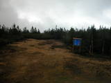 15 : 54