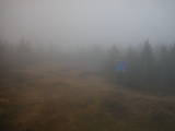 16 : 22