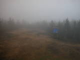 16 : 34