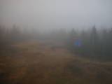 16 : 42