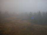 16 : 50