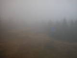 16 : 54