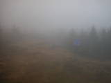 17 : 02