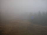 17 : 06