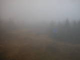 17 : 14