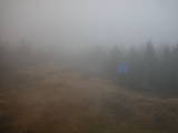 17 : 22