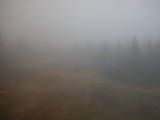 17 : 26