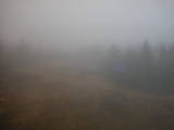 17 : 30
