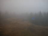 17 : 42