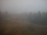 17 : 46