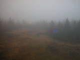 17 : 50