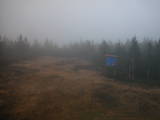 19 : 10