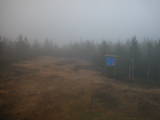 19 : 22