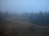 19 : 54