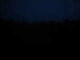 20 : 50