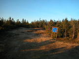 19 : 42