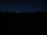 21 : 14