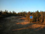 19 : 46