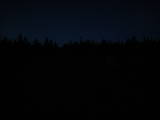 21 : 18