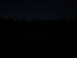21 : 22