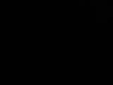 03 : 46