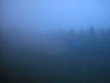 04 : 46