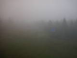 06 : 06