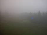 06 : 50