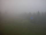 07 : 50