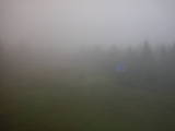 08 : 50