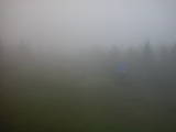 14 : 14