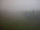 14 : 30
