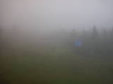 14 : 42