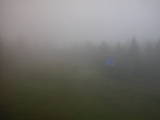 15 : 10