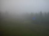 15 : 14