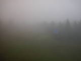 15 : 26