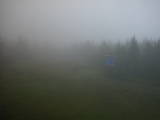 15 : 30