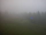 15 : 42