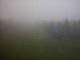15 : 54