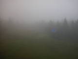 16 : 14